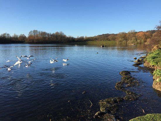 Colwick Country Park
