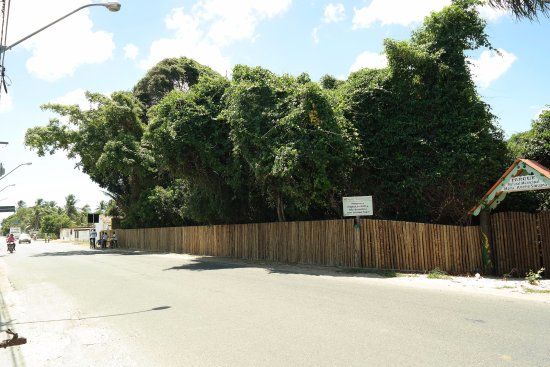 Municipal Natural Park and Maria Amélio Siquara