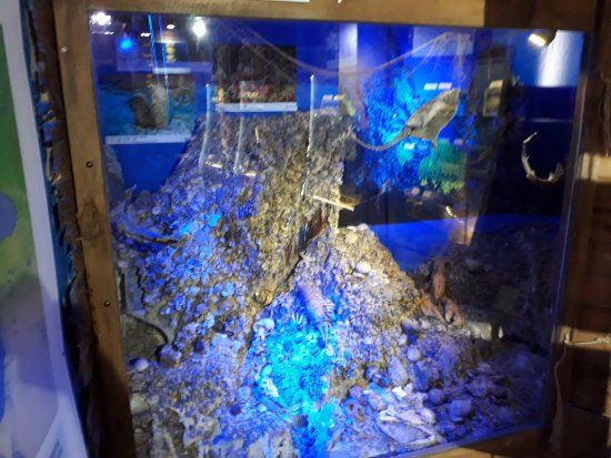 Antalya Deniz Biyolojisi Muzesi