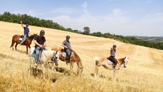 Maneggio Guelfi Neri