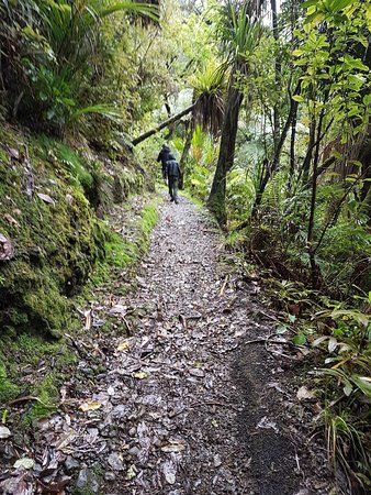 Waiotemarama Loop Track