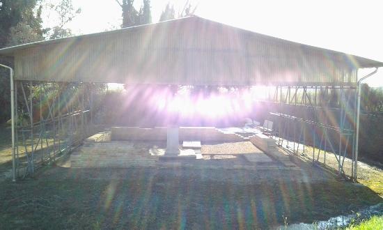 Necropoli Romana di Voghenza