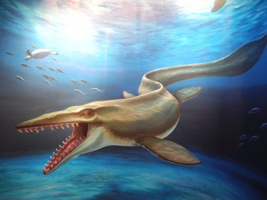 Montagne Saint-Pierre Nature