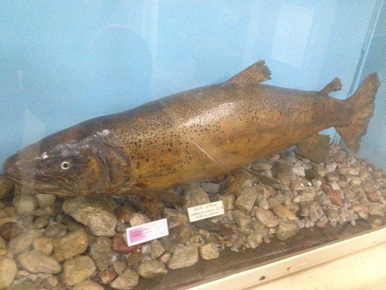 Nature Museum