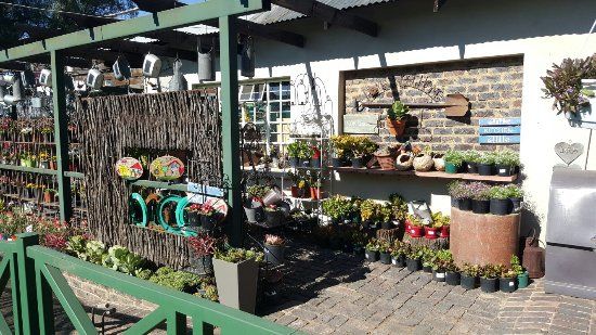 4seasons Nursery Garden Center