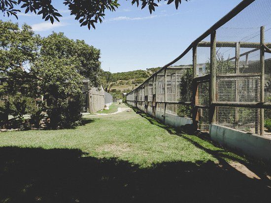 African Dawn Bird and Wildlife Sanctuary