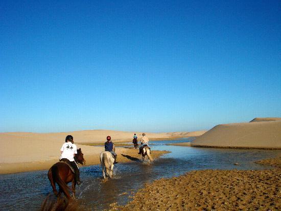 Papiesfontein Beach Horse Trails
