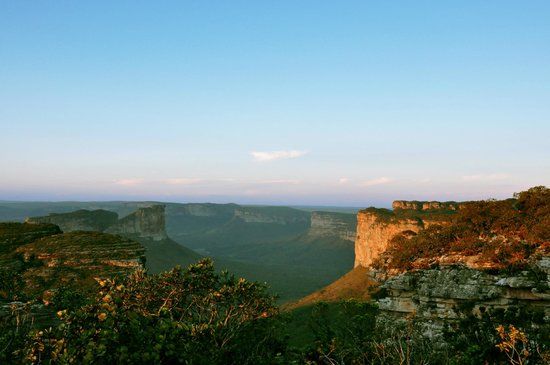 Orquidario Pai Inacio