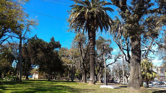 Dom Antonio Zattera Park