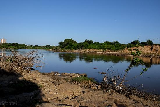 Parque Floresta Fossil