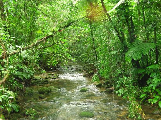 Reserva Natural Salto Morato