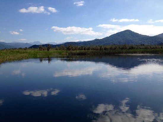 Parque Natural Municipal Lagoa do Parado