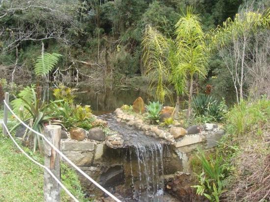 Reserva Ambiental Serelepe