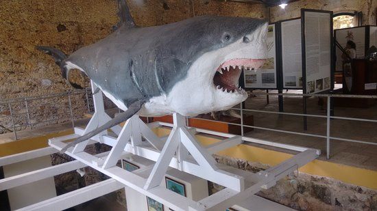 Municipal Museum of Cananeia