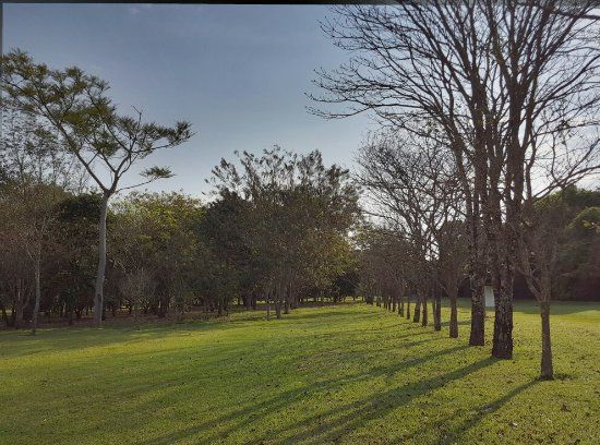 Parque Estadual Porto Ferreira