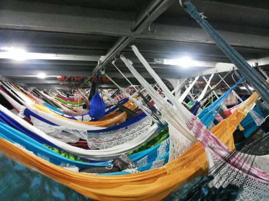 Curral do Boi Caprichoso