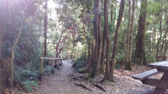 Cascada Velo de la Novia