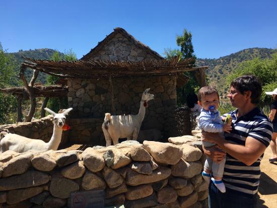 Museo Mapuche Ruka Mani