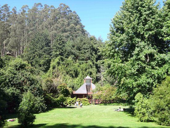 Parque Jorge Alessandri