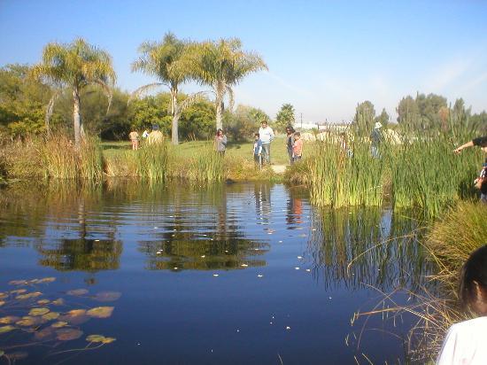 Botanical Garden University of Talca