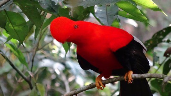 Reserva Natural Jardín de Rocas