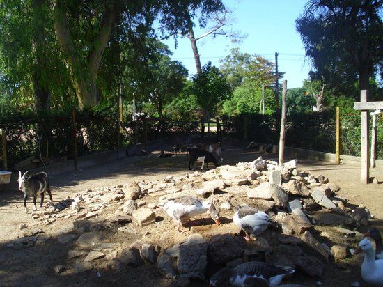 Zoologico de Atlantida