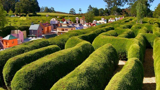 Tazmazia and the Village of Lower Crackpot