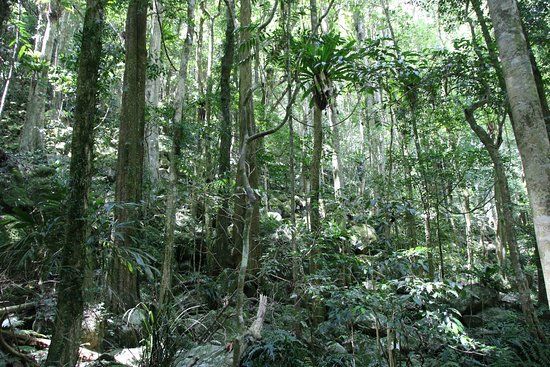 Boorganna Nature Reserve