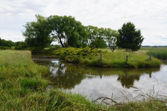 Mother Of Ducks Lagoon Nature Reserve