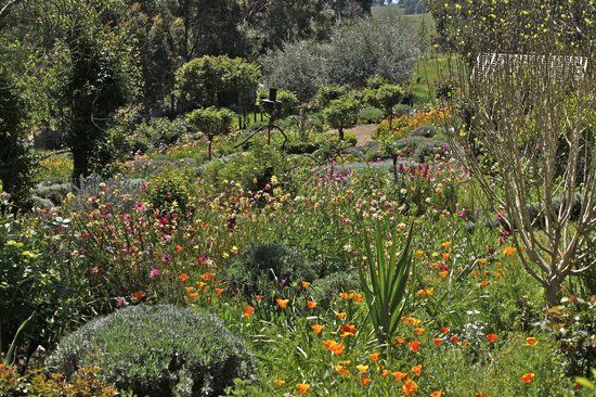 Balingup Lavender Farm