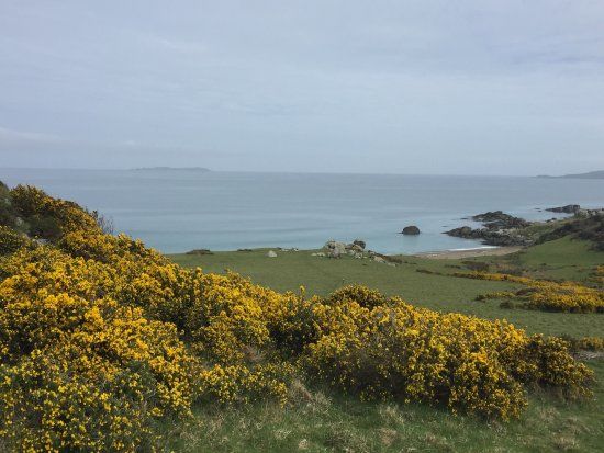 Howells Point Reserve