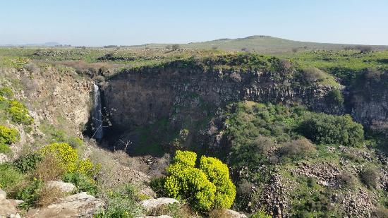 Gamla Nature Reserve