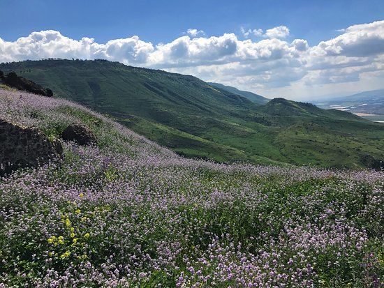 Susita Nature Reserve and National Park