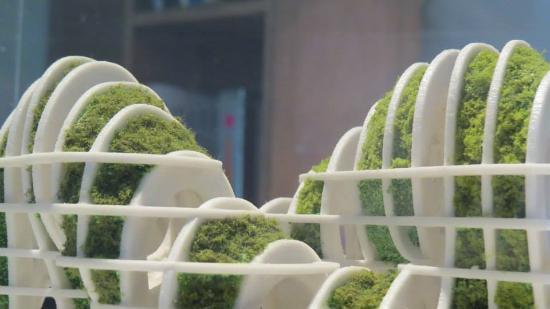 The Munio Gitai Weinraub Museum