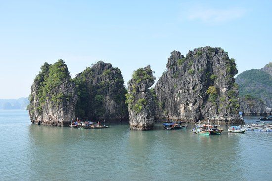 Cua Van Floating Village