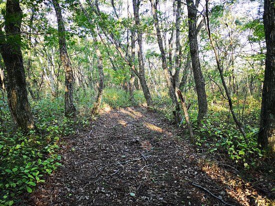 Lake Utonai Sanctuary
