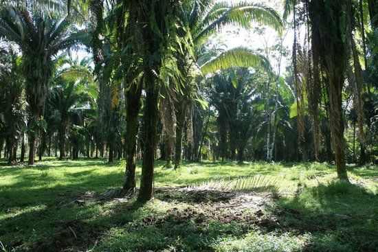 Aguacaliente Wildlife Sanctuary