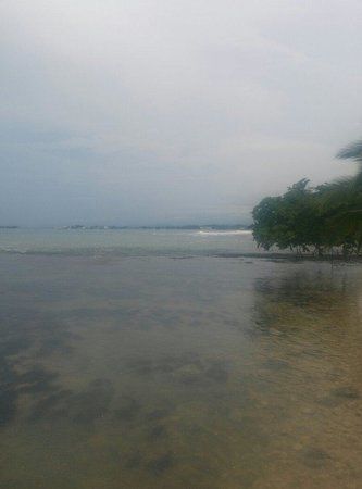 Smithsonian Tropical Research Institute