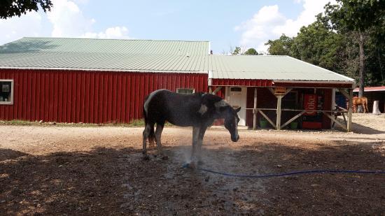 Bear Mountain Riding Stable & Dude Ranch