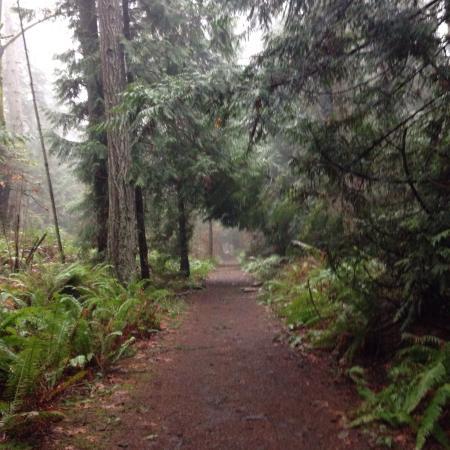 Hemer Provincial Park