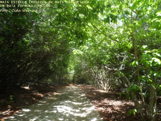 Reserva Particular do Patrimonio Natural Mata da Estrela