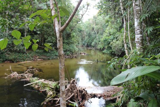 Núcleo Santa Virgínia