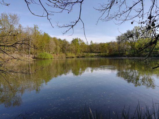 Parco forestale del Roero
