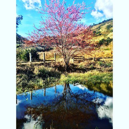 Fazenda Maria da Fé