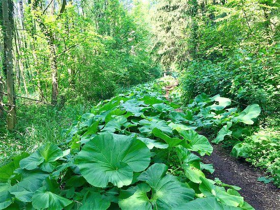 Arboretum des prés-des-culands