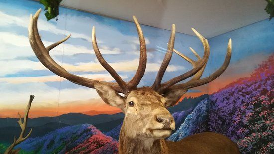 Museo della fauna del crinale romagnolo