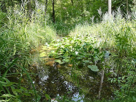 Giardino Botanico Valbonella