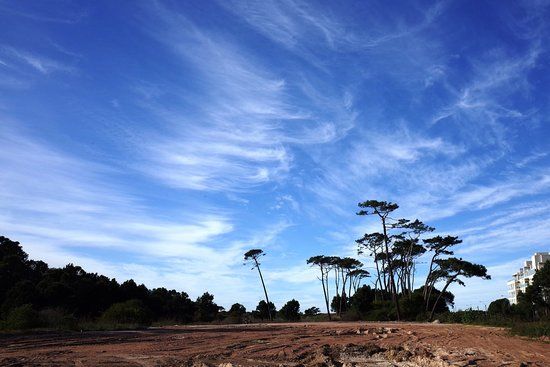 Parque Franklin Delano Roosevelt