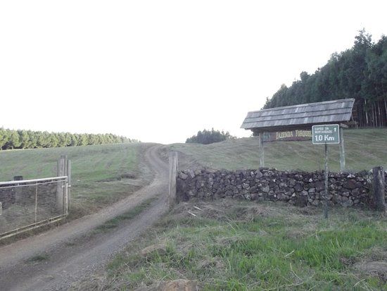 Capão da Mortandade