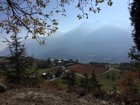 Arboretum Pierre Louis Vescoz